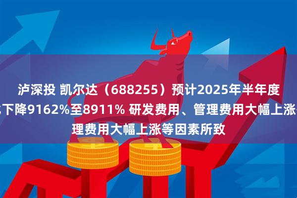 泸深投 凯尔达(688255)预计2025年半年度净利润同比下降9162%至8911% 研发费用、管理费用大幅上涨等因素所致